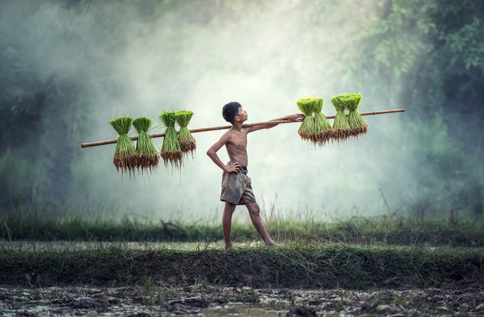 春耕農(nóng)民 春耕農(nóng)民